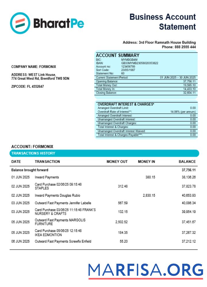 Printable Bharatpe organization checking account statement Word and PDF template